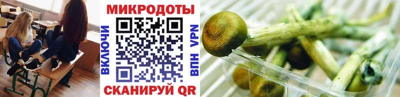 Псилоцибиновые грибы MAGIC MUSHROOMS  Макаров 